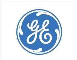 17072901_GE  SP Sepharose FF 填料_300ml/瓶