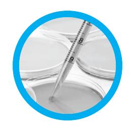 Labserv_14-955-155_血清移液管_高透明度PS  5ml移液管  灭菌 独立纸塑包装 无菌 无热源50支/包 200支/箱