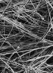 贝兰伯/Bioland_GF50-100_Bioland玻璃纤维滤膜；GLASS FIBER滤膜_玻璃纤维滤膜；直径：50mm；孔径：1um 100片/盒