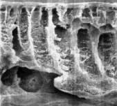 赛多利斯/Sartorius_14549-25-D_Sartorius-超滤膜_CTA Membran 20.000MWCO 25mm
