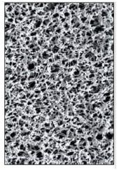 贝兰伯/Bioland_PES50-022S_聚醚砜滤膜；PES滤膜_直径：50mm；孔径：0.22um