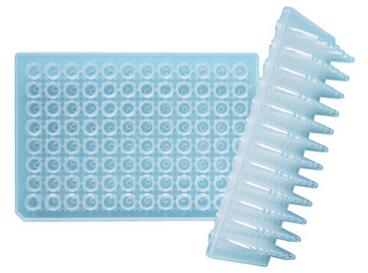 QSP_435-Q_PCR管_0.2ml薄壁8联管， 4800/箱