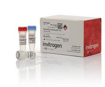 Invitrogen_K172001_酵母去壁细菌细胞 Spheroplast Kit for Yeast_1kit - 