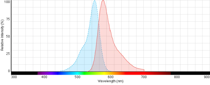 热电/Thermofisher_C860_Invitrogen四甲基罗丹明结合物_10mg/瓶 - 