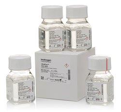 热电/Thermofisher_15553027_UltraPure? SDS Solution, 10% 试剂_4*100ml - 
