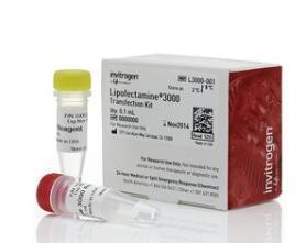 热电/Thermofisher_L3000001_Lipofectamine 3000转染试剂_0.1 mL - 