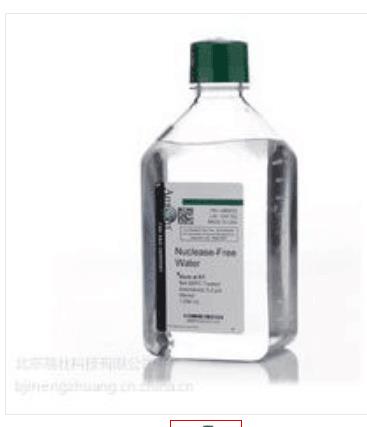 热电/Thermofisher_AM9932_Nuclease-Free Water 试剂_1000ml/瓶 - 