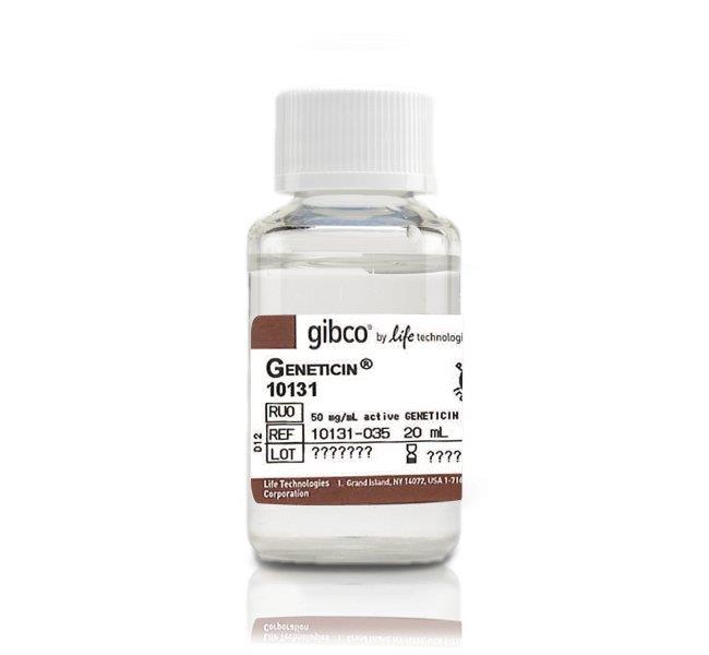 热电/Thermofisher_10131027_Thermo Geneticin™ 试剂_Geneticin? Selective Antibiotic (G418 Sulfate) (50 - 