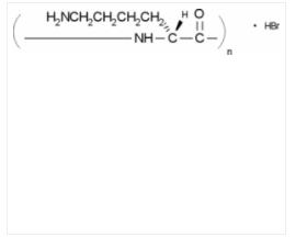 西格玛/sigma_P7280-5MG_多聚-D-赖氨酸 氢溴酸盐 试剂_5MG - 