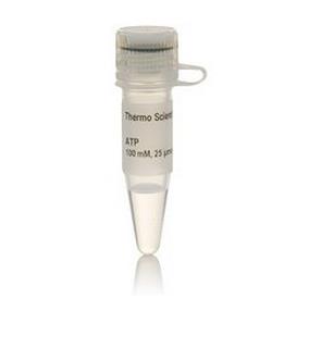 R0441_thermo ATP溶液（100 mM）_0.25ml - 