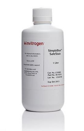 LC6060_thermo SimplyBlue™SafeStain 试剂_1L/瓶 - 