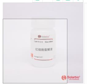 Solarbio/索莱宝_R1010-500ml_红细胞裂解液_500ml    20瓶/箱 - 