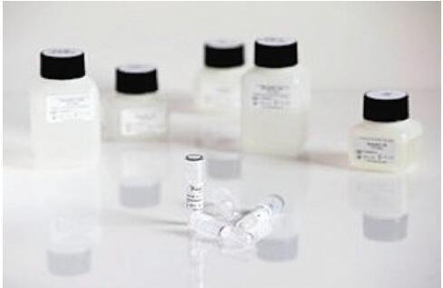 瑞士RTA_9037250_致病菌基因组DNA 提取试剂盒Pathogen DNA Isolation Kit (Bacteria & Fungi)_250tests - 