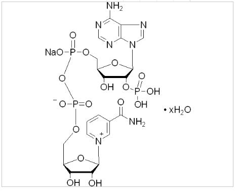 阿拉丁/aladdin_N107170-1g_β-烟酰胺腺嘌呤二核苷酸磷酸钠盐_1g - 