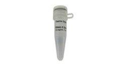 热电/Thermofisher_EN0531_核糖核酸酶_10 mg/mL - 