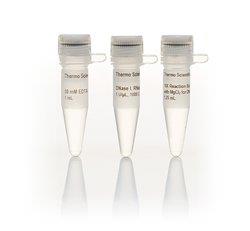 热电/Thermofisher_EN0521_DNase I,，RNase-free试剂_1000 units - 