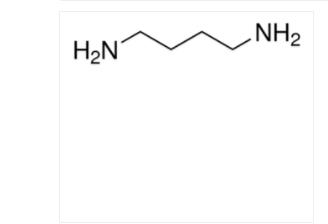 西格玛/sigma_51799-100MG_腐胺 试剂_100MG - 