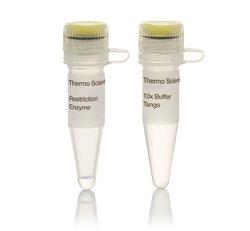 热电/Thermofisher_ER0681_XbaI (10 U/µL) 试剂_1500 units - 