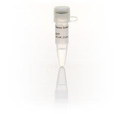 热电/Thermofisher_R0133_dUTP Solution (100 mM)试剂_0.25ml - 