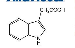阿法埃莎/Alfa Aesar_A10556_吲哚-3-乙酸, 98+% 试剂_25g - 