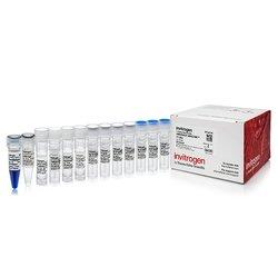 热电/Thermofisher_AM1345_mMESSAGE mMACHINE™ T7 ULTRA Transcription Kit试剂_10 reactions - 