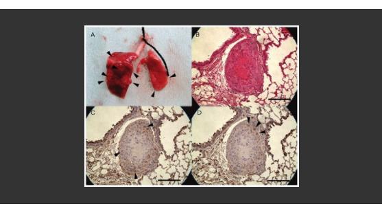 ab64214_10x Citrate Buffer pH 6.0  缓冲液_瓶 - 