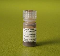 热电/Thermofisher_88802_Pierce™ Protein A/G Magnetic Beads试剂_1ml - 