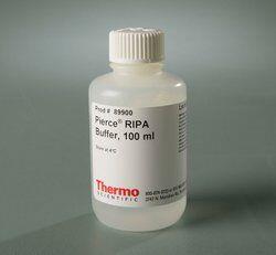 热电/Thermofisher_89900_RIPA Lysis and Extraction Buffer试剂_100ml - 