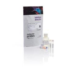 热电/Thermofisher_Q32851_Qubit™ dsDNA HS Assay Kit试剂_100 assays - 