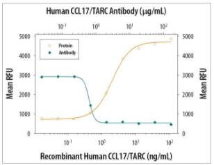 MAB364-SP_Human CCL17/TARC Antibody 试剂_25ug/瓶 - 