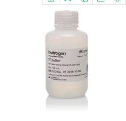 热电/Thermofisher_12090-015_TE Buffer_100ml - 