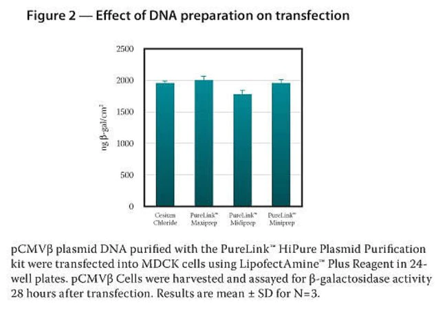 Thermo Scientific_K210004_PureLink™ HiPure Plasmid Midiprep Kit试剂_25个/盒 - 