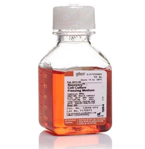 Thermo Scientific_12648010_Gibco 培养基  Recovery Cell Culture Freezing Medium_50ml/瓶 - 
