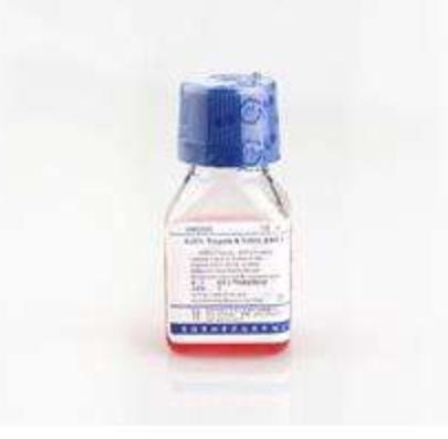 /rich_GNM20012_吉诺 PBS_250ML - 