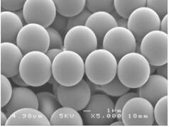 Thermo Scientific_CRS-10_fisher 微粒_Thermo Scientific Validex  Count Precision Size Standards 10um 500ml/瓶 - 
