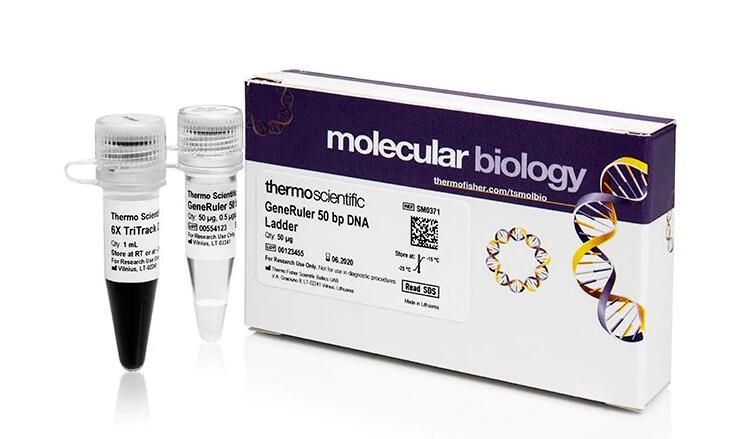 Thermo Scientific_SM0371_GeneRuler 50 bp DNA Ladder，试剂_50 μg - 