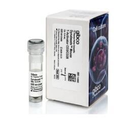 Thermo Scientific_11456D_Mouse T-Activator CD3/CD28 试剂_0.4 mL - 