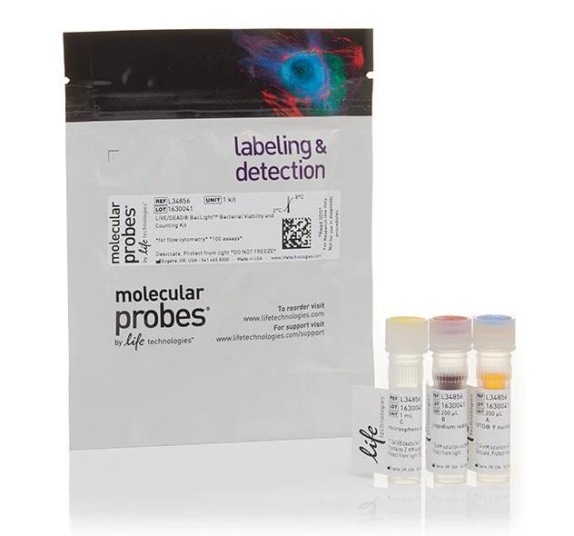 Invitrogen_L34856_Bacterial Viability and Counting Kit, for flow cytometry_1 kit - 