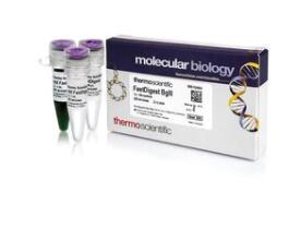 Thermo Scientific_FD0083_FastDigest BglII_EA  冷藏 - 