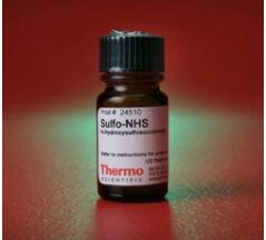 Thermo Scientific_24510_Sulfo-NHS (N-hydroxysulfosuccinimide)  试剂_500mg - 