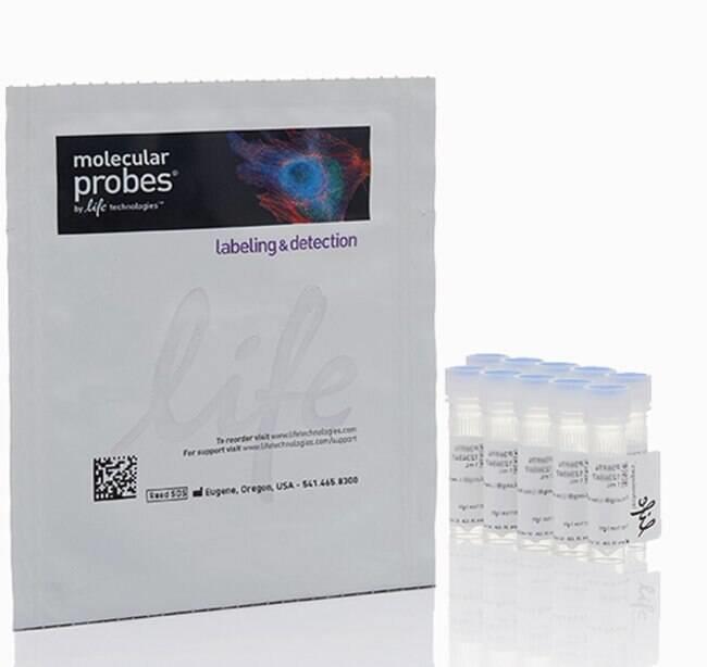 Invitrogen_M36008_MitoSOX Red Mitochondrial Superoxide Indicator试剂_10x50ug 常温 - 