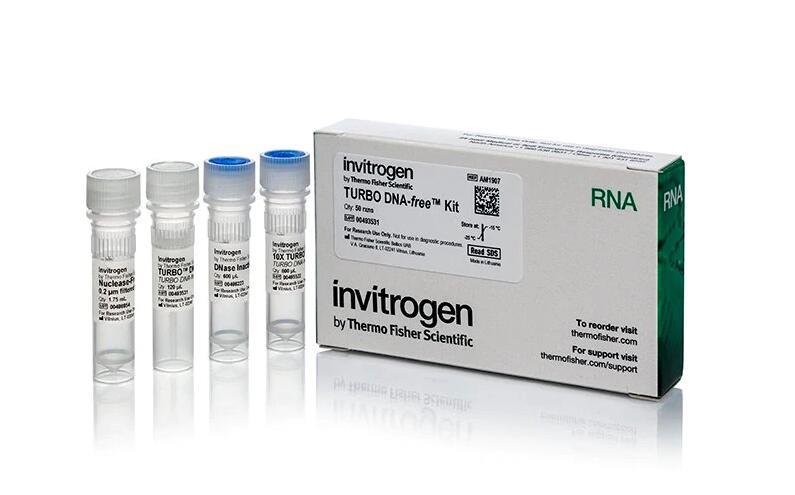 Invitrogen_AM1907_TURBO DNA-free™ Kit 试剂_50 reactions - 