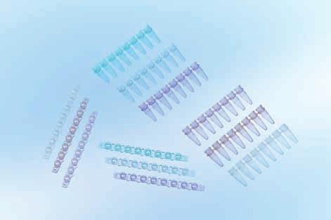 葛莱娜/Greiner_673277_PCR8联管_0.2 ml 紫色 WITHOUT  1250个/箱