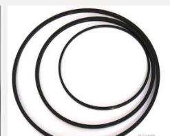 Vitlab_80557_O型圈_适用于干燥器 80554