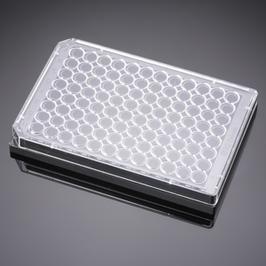 Corning BioCoat Poly-D-Lysine 96 Well Black Flat Bottom Microplate, 20/Pack, 80/Case