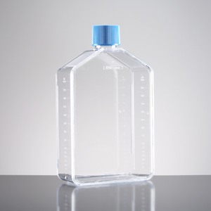 Corning® BioCoat™ Poly-D-Lysine 175cm² Flask with Vented  Cap