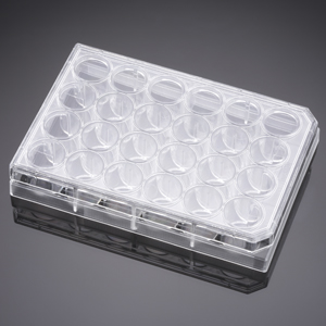Corning® BioCoat™ Poly-D-Lysine/Laminin 24 Well Clear Flat Bottom TC-Treated Multiwell Plate, with L
