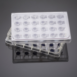 Corning BioCoat Fibronectin Inserts with FluoroBlok 3.0µm Polyester (PET) Membrane in two 24 Well Pl