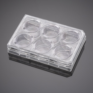 Corning BioCoat Collagen I Inserts with 1.0µm Polyester (PET) Membrane in four 6 Well Plates, 6/Pack