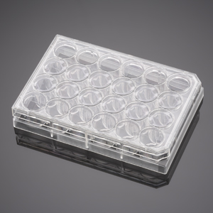 Corning BioCoat Control Inserts with 8.0µm Polyester (PET) Membrane in two 24 Well Plates, 12/Pack,